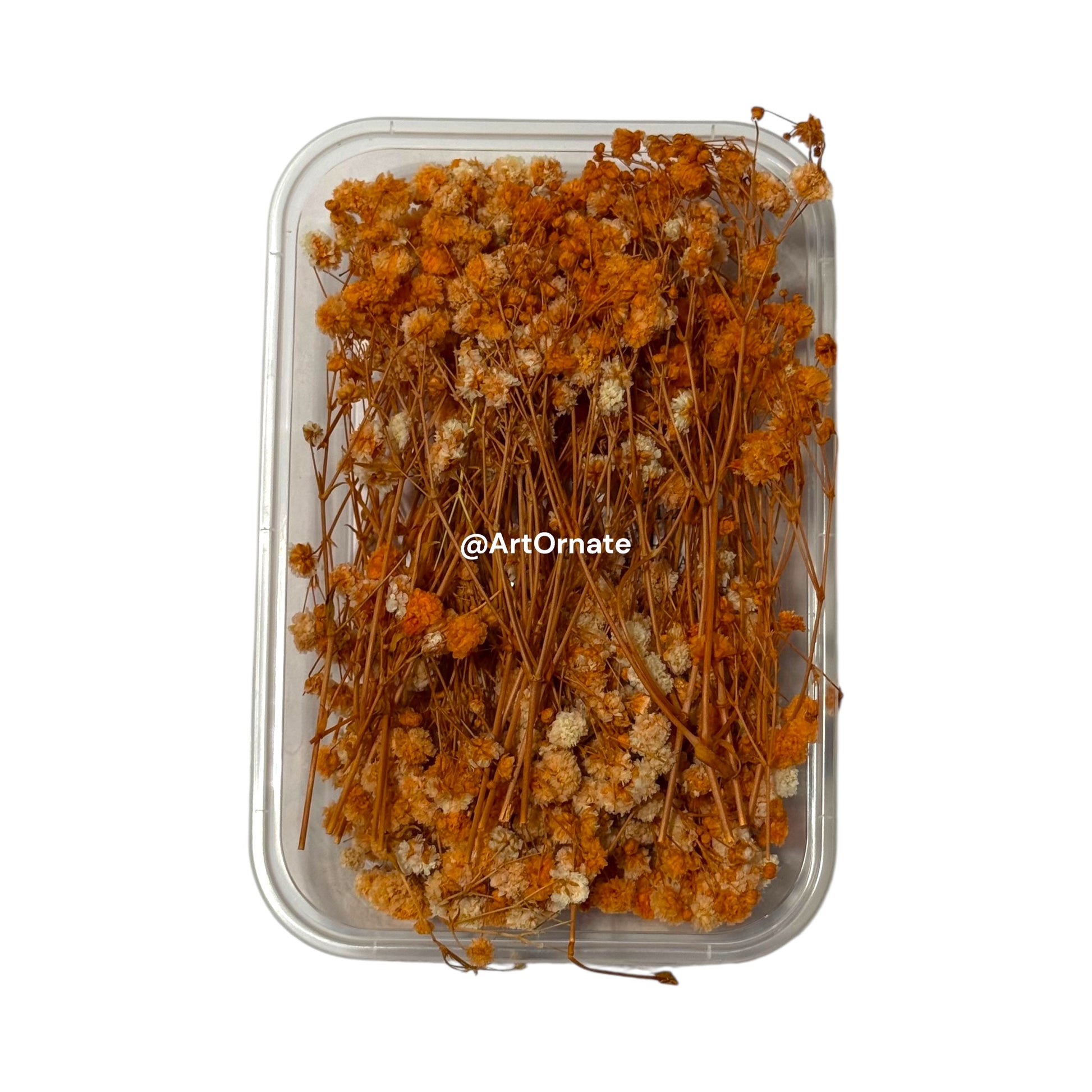 Premium gypsy dried flowers for resin casting and candle making projects in India, Hyderabad