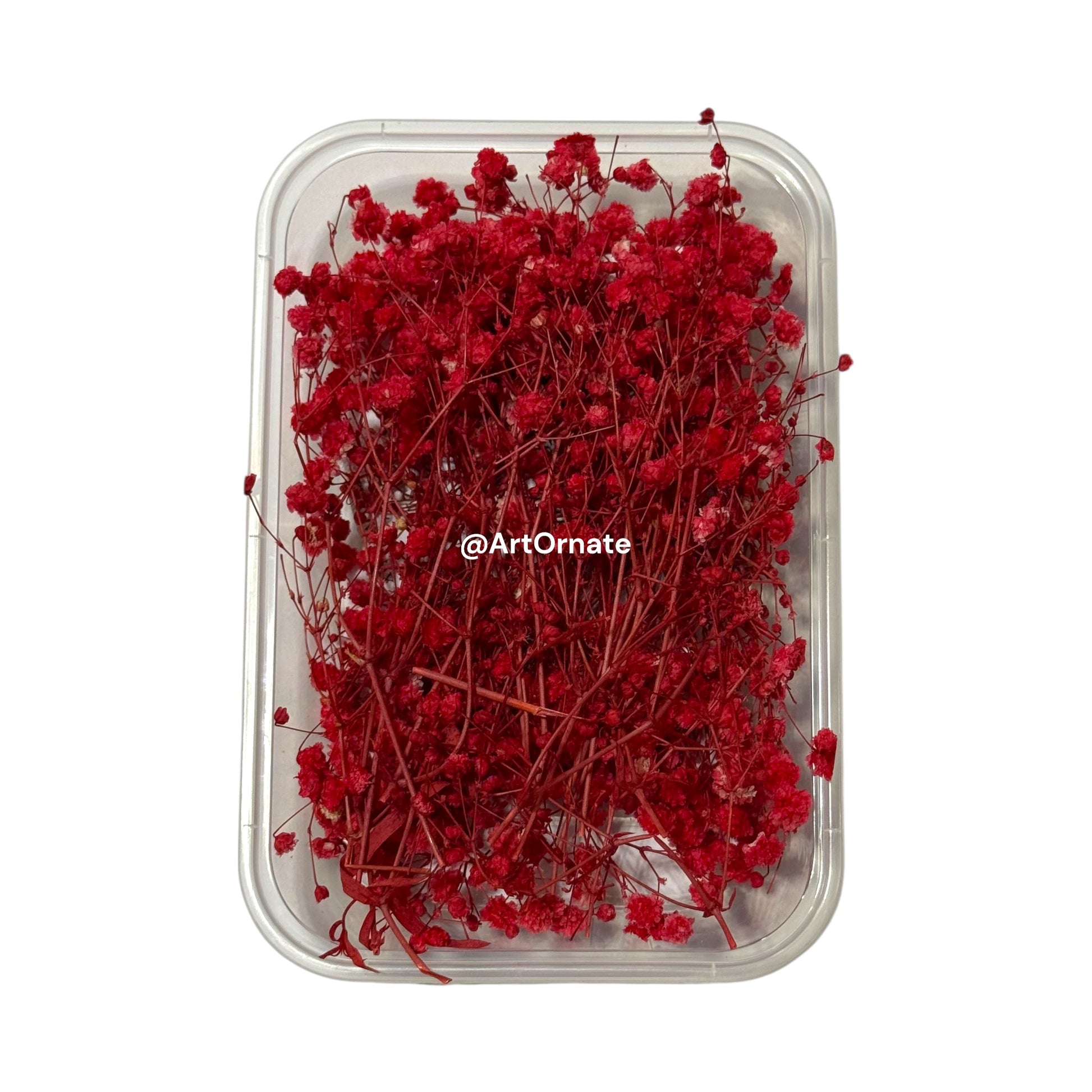 Preserved gypsy flowers box for resin art and soy wax candles in India, Mumbai
