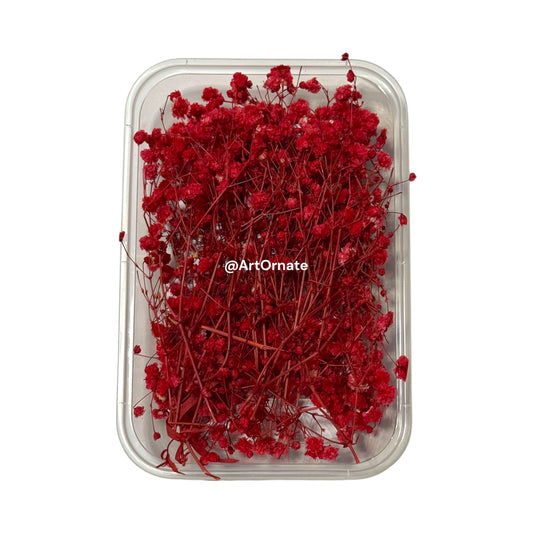 Preserved gypsy flowers box for resin art and soy wax candles in India, Mumbai