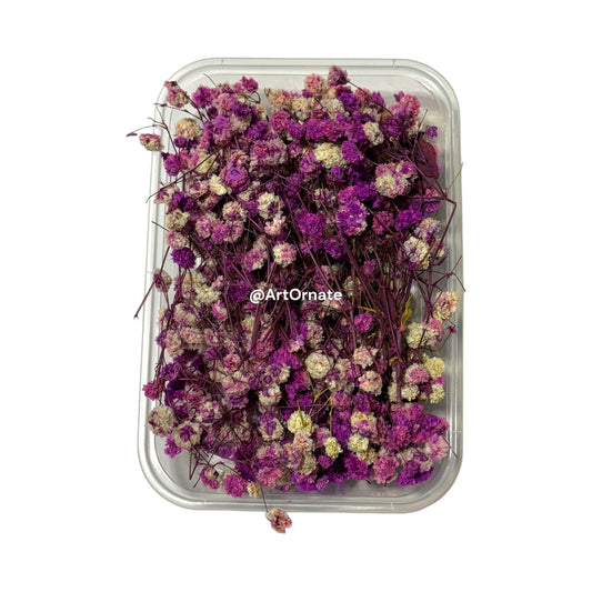 Gypsy dry flower box for resin and candle making, natural dried flowers for epoxy art in India, Ahmedabad