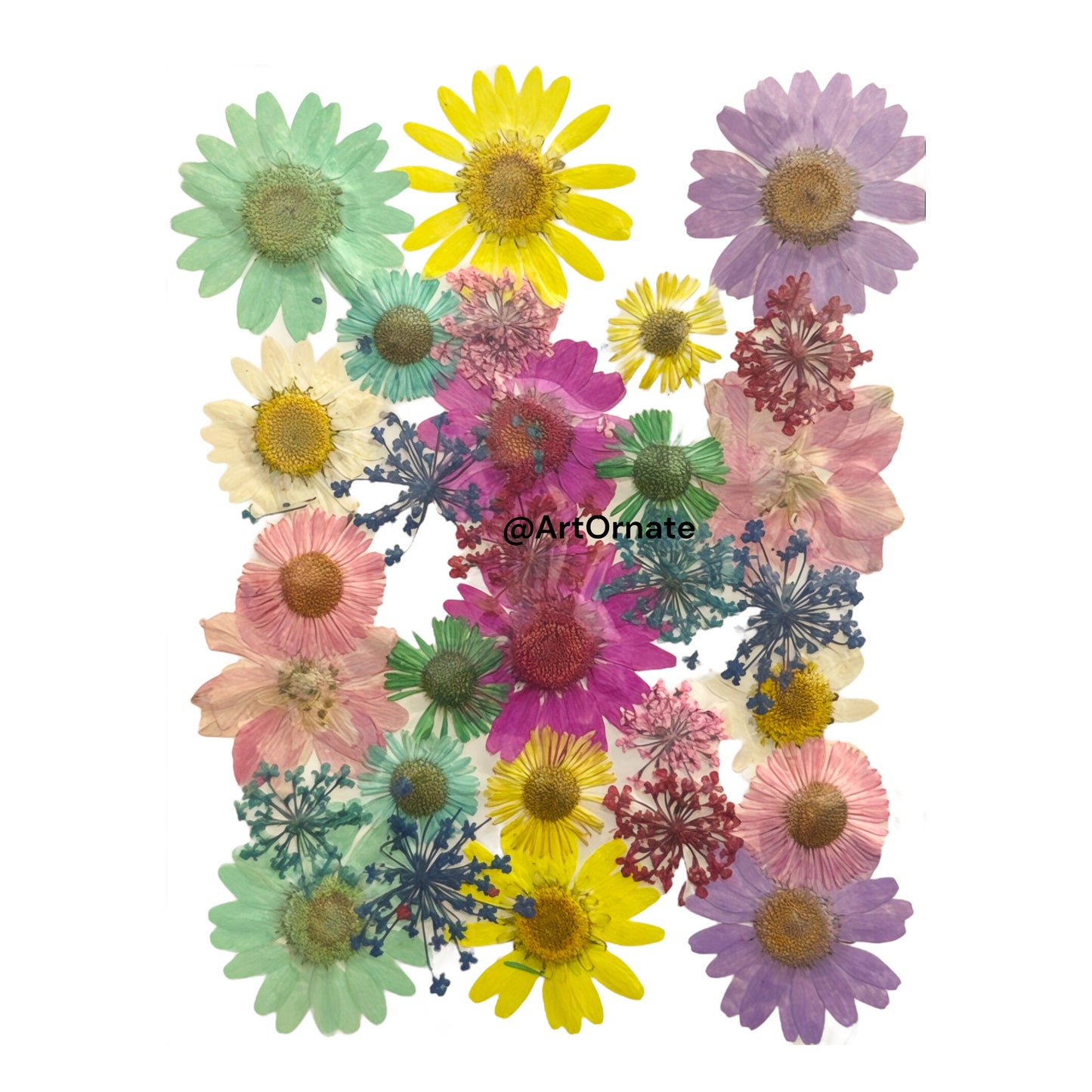 PRESSED FLOWER (FL166)