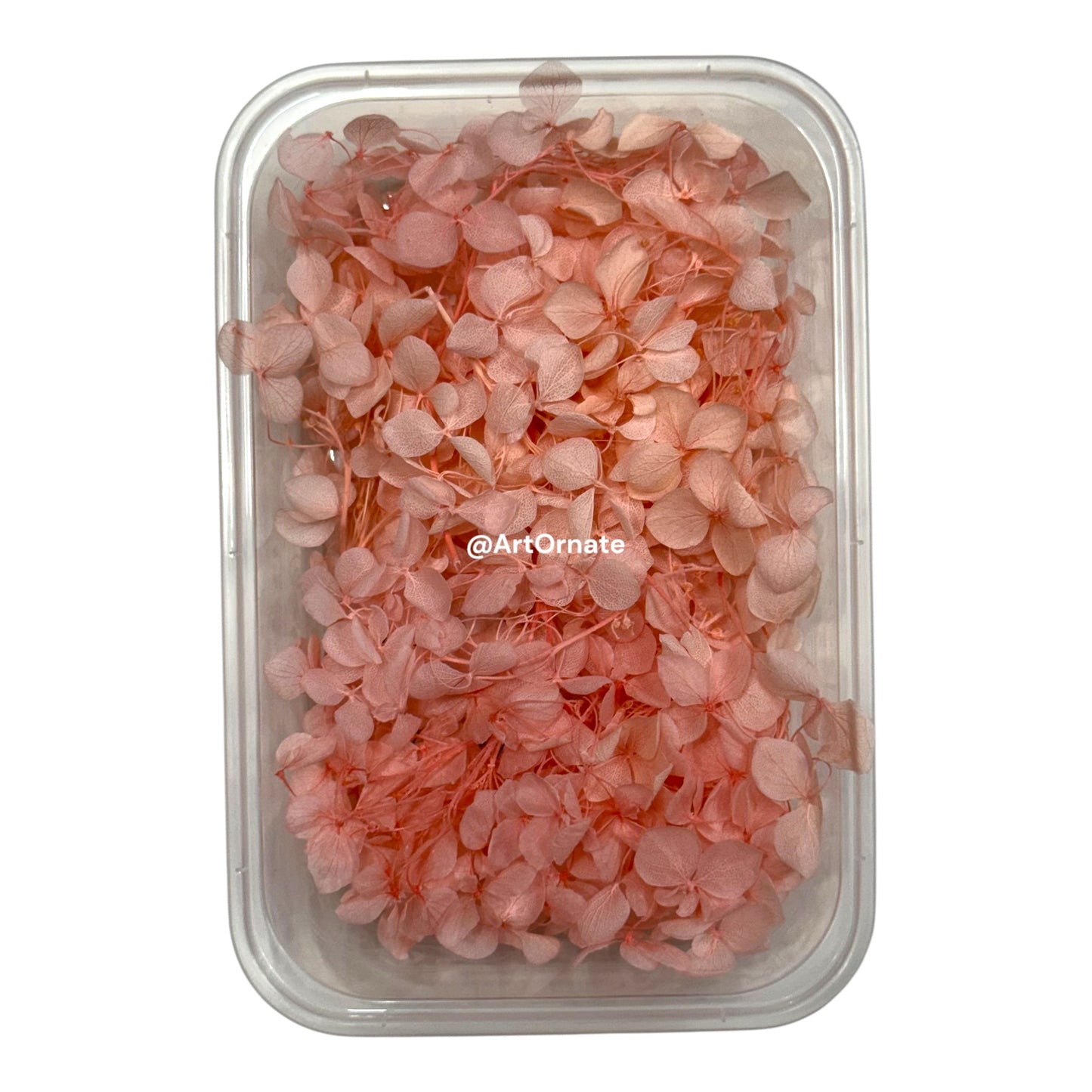 Dry Hydrangea Flower Box (MG20582A)