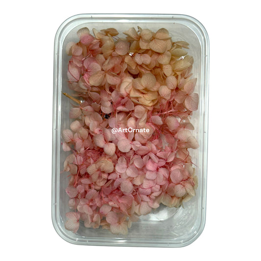 Dry Hydrangea Flower Box (MG20583)