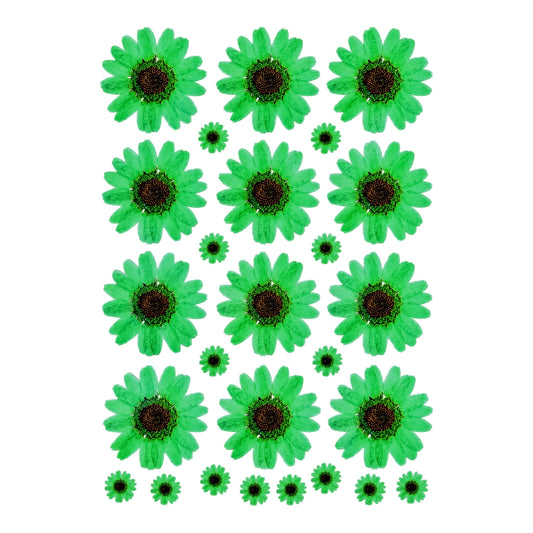 Flower UV DTF Sticker (UV081)