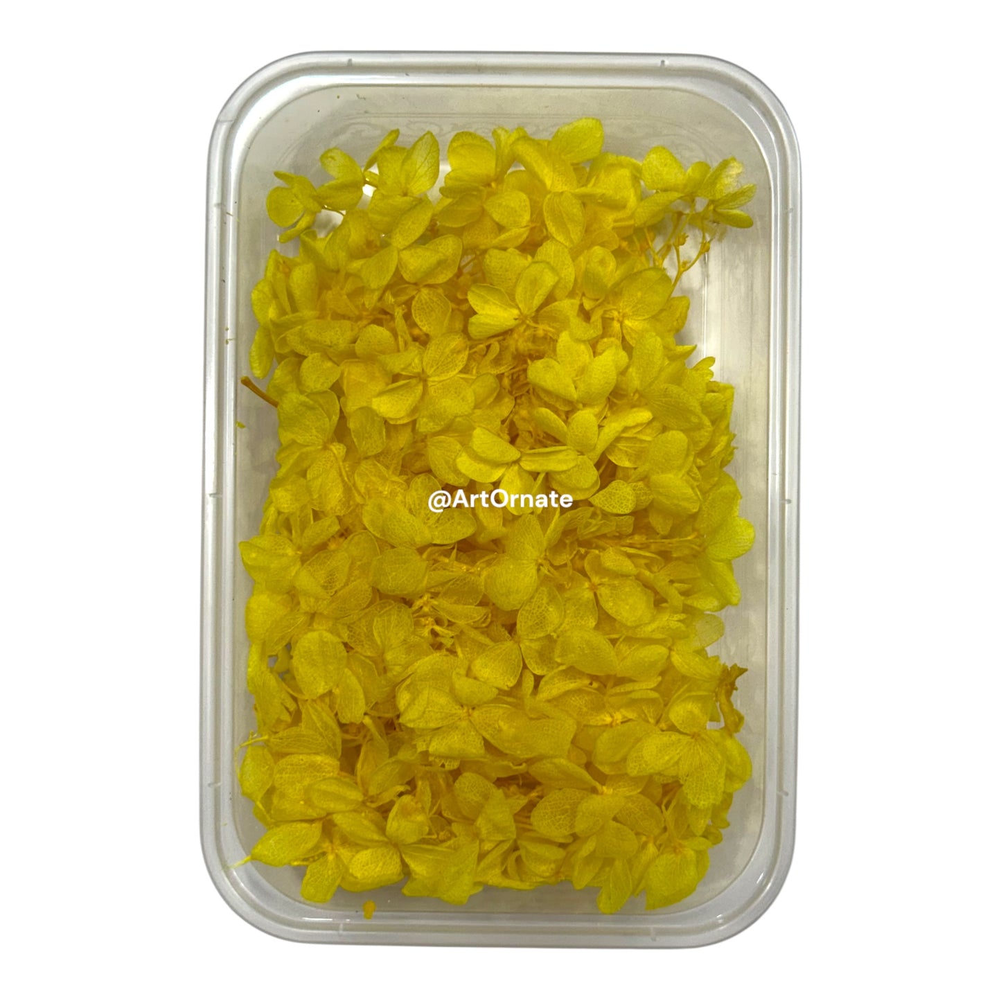 Dry Hydrangea Flower Box (MG20589)