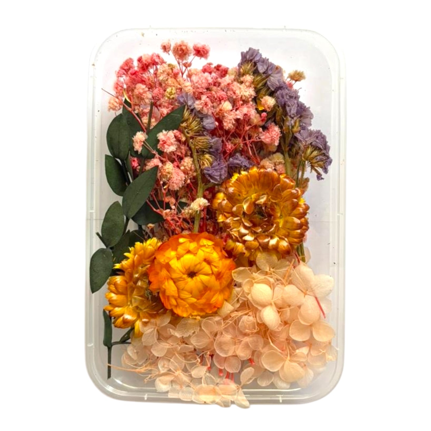 Assorted natural dry flowers for wedding resin art and decorative candle embeds