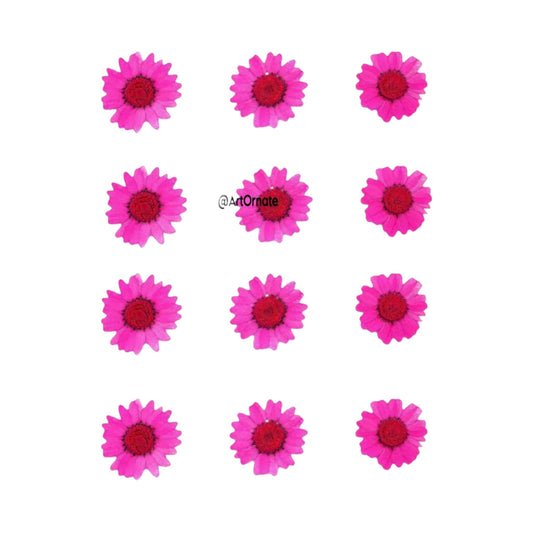 DARK PINK DAISY PRESSED FLOWER (81068)