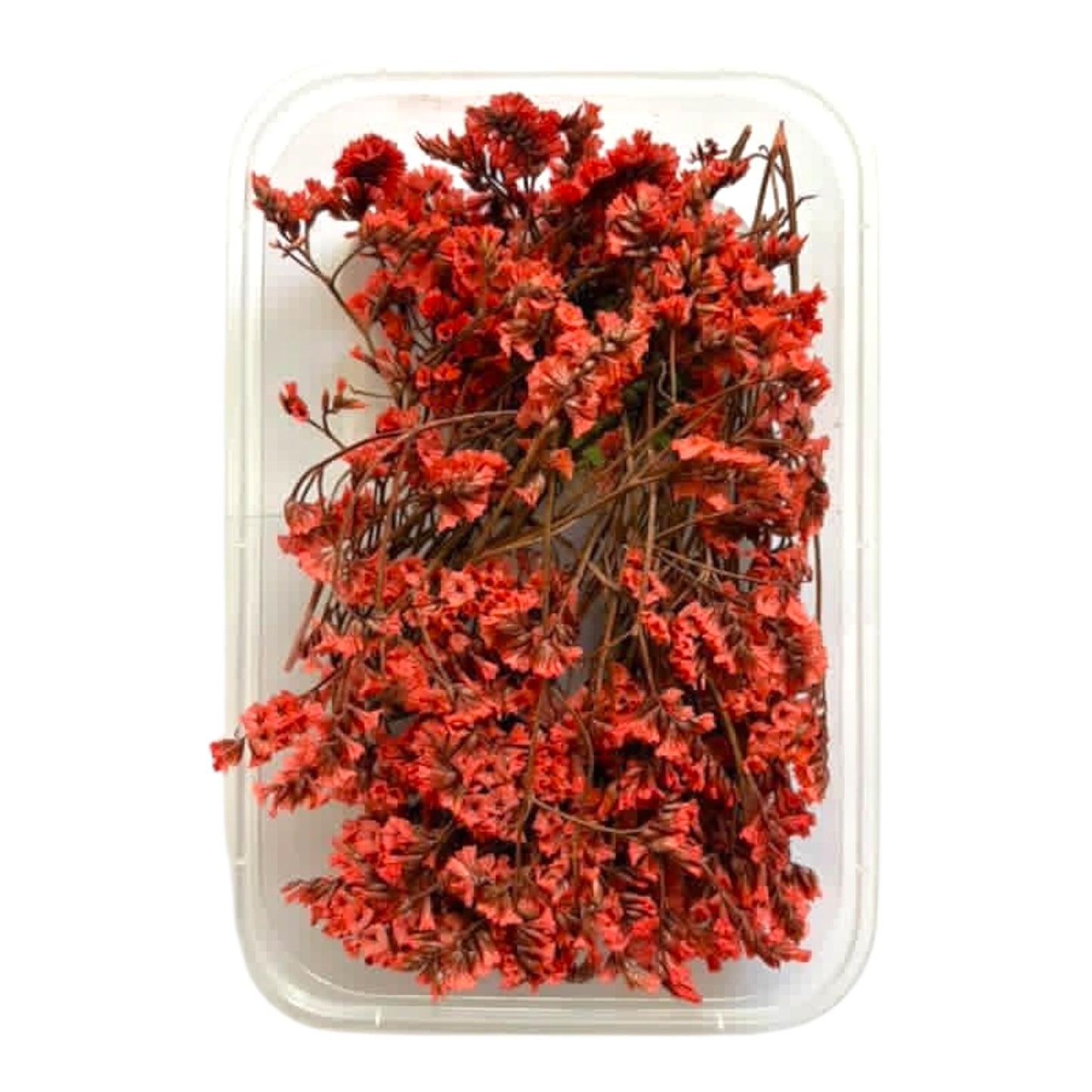 Real dried flowers for resin gifts, floral embeds and decorative candles