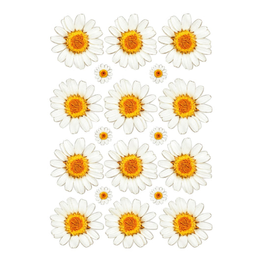 White Daisy Flower UV DTF Sticker (UV163)