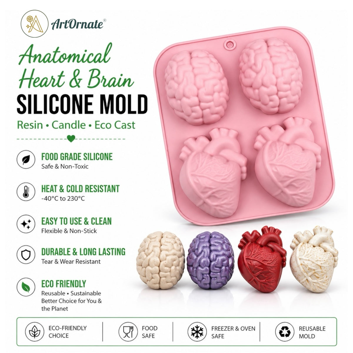 Anatomical Heart Brain Silicone Mould