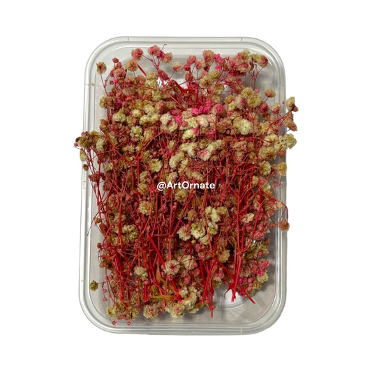 Gypsy dried flower set for epoxy resin jewellery and candle décor in India, Bangalore