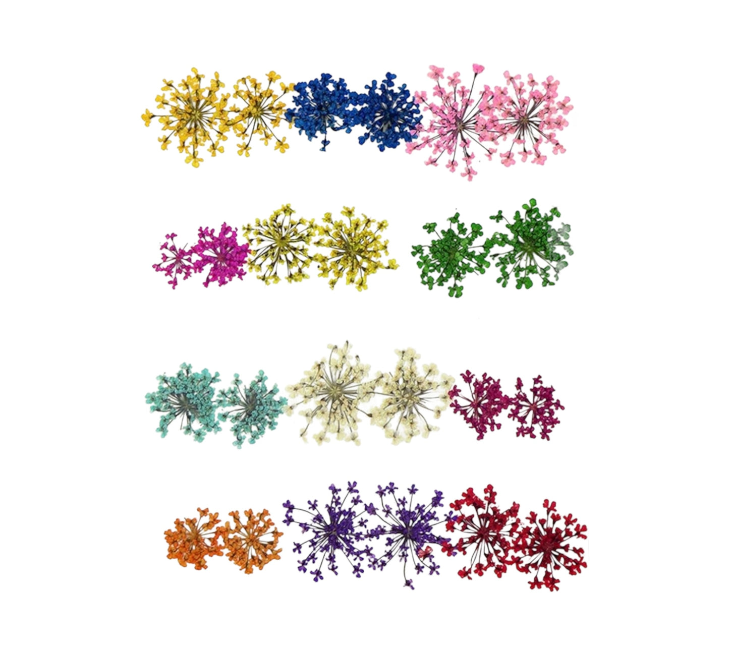 24 IN 1 MULTI PRESSED FLOWER (81078)