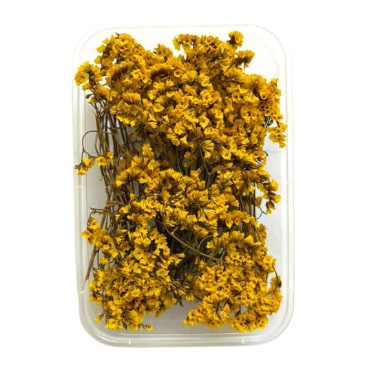 Premium dry flowers for resin artists and candle makers in Gujarat and Ahmedabad