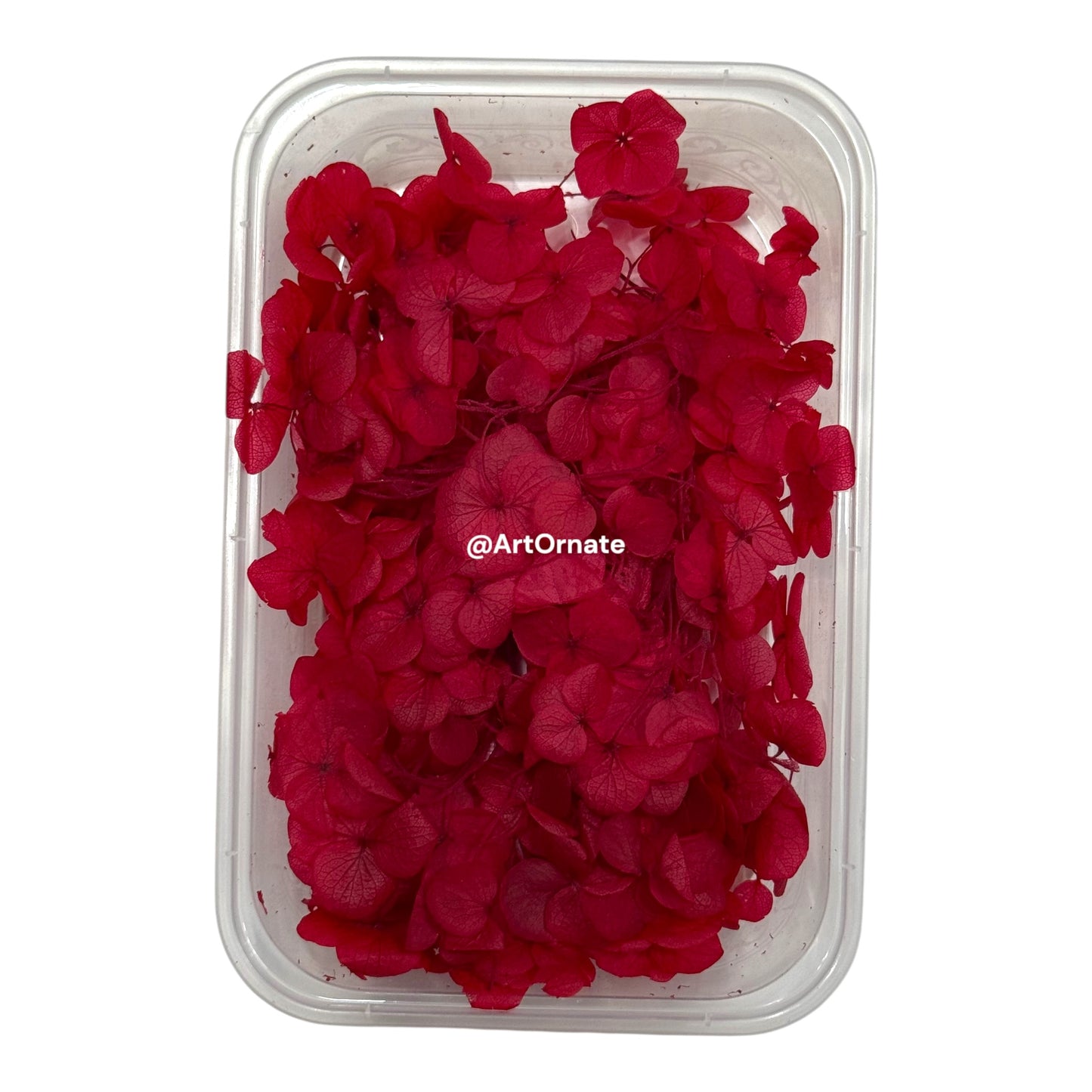 Dry Hydrangea Flower Box (MG20585)