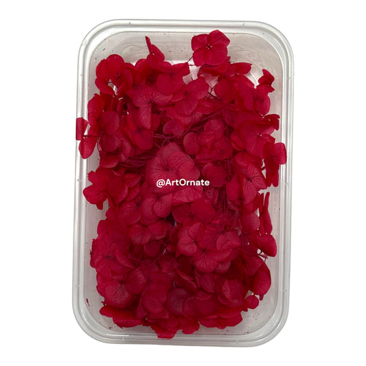 Dry Hydrangea Flower Box (MG20585)