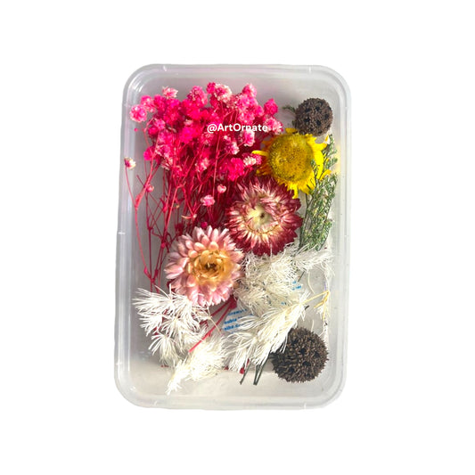 Dry Flower Box (MG20511)