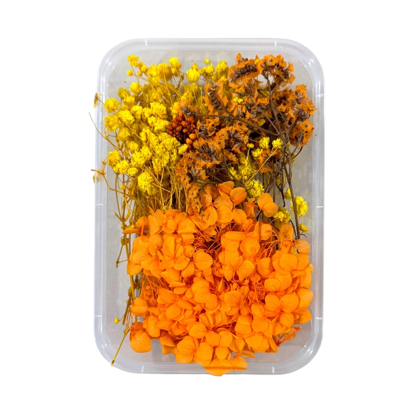 Dry Flower Box (ART94)