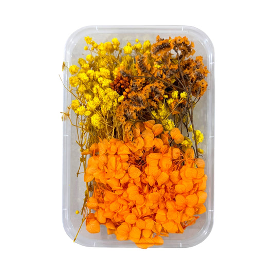 Dry Flower Box (ART94)