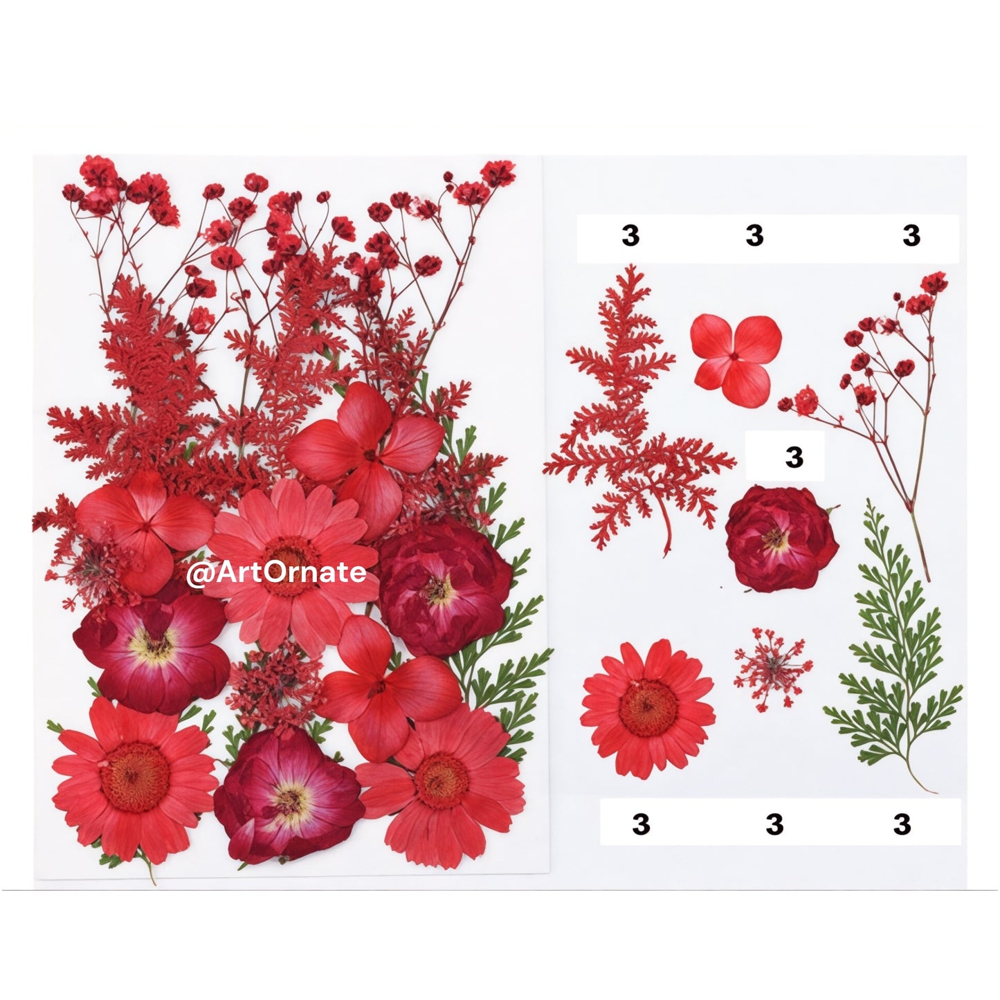 21 IN 1 PRESSED FLOWER (FL047)