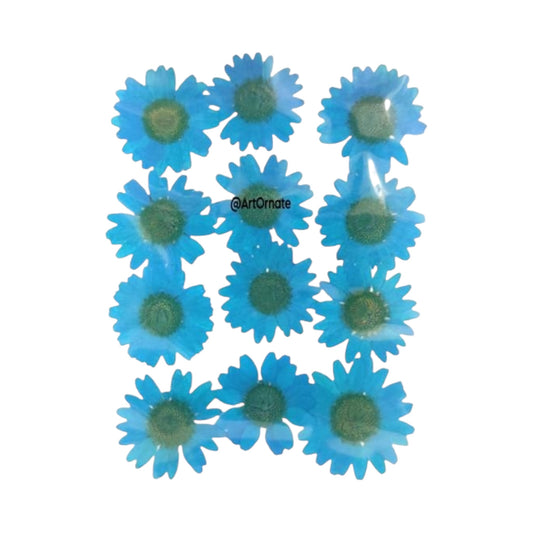 FIROZI BLUE DAISY PRESSED FLOWER