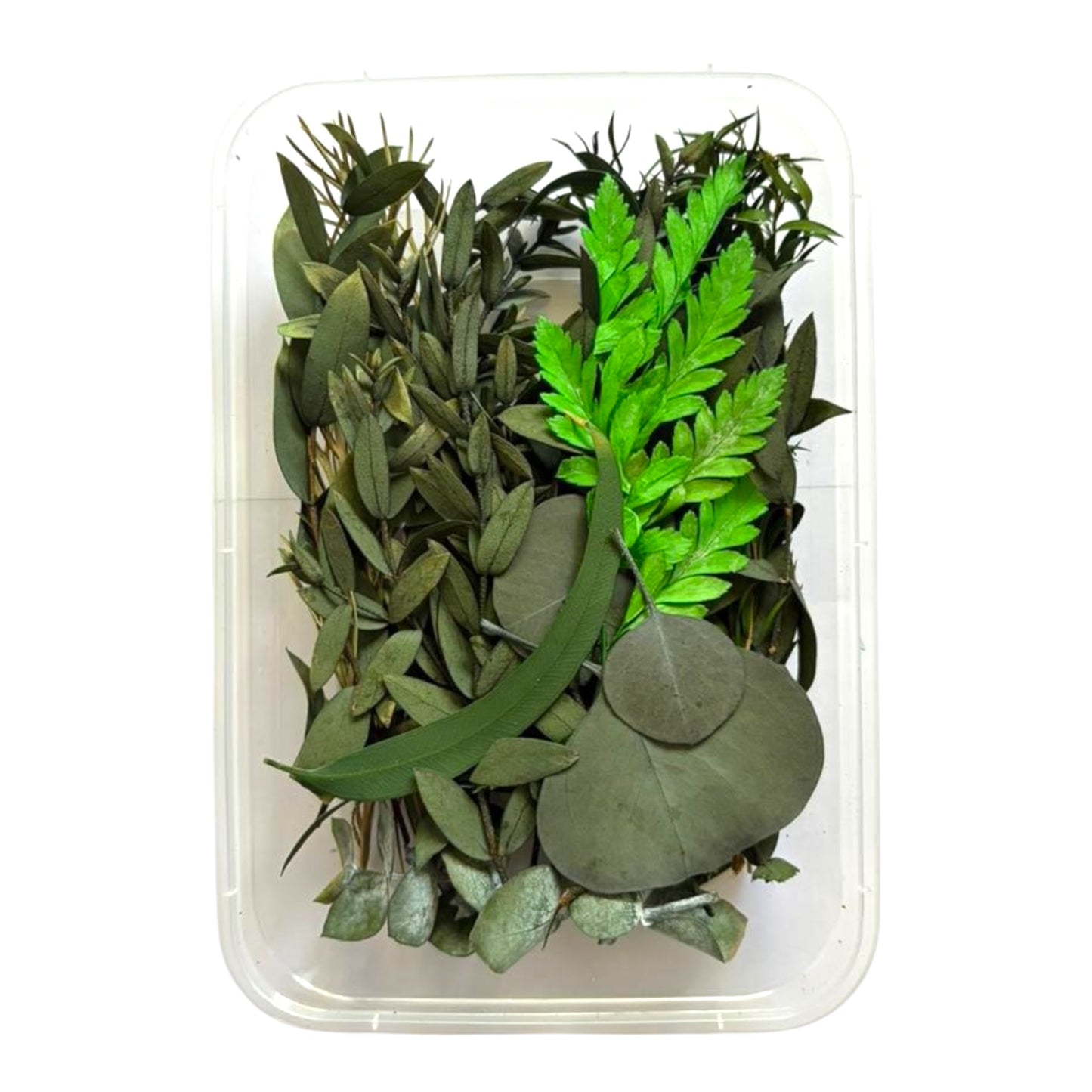 Natural dried flowers for wax embeds, resin casting and craft decoration