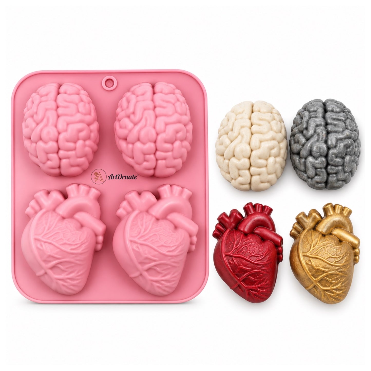 Anatomical Heart Brain Silicone Mould