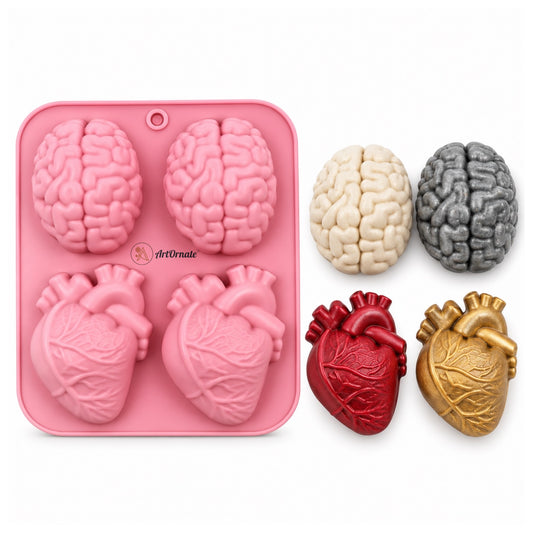 Anatomical Heart Brain Silicone Mould