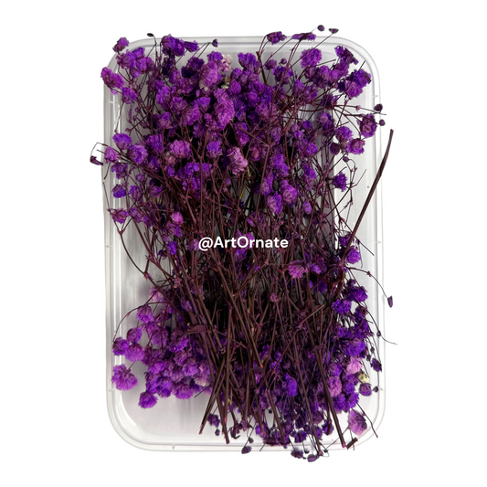 Purple Gypsy / Baby Breath Dry Flower Box (ART106)