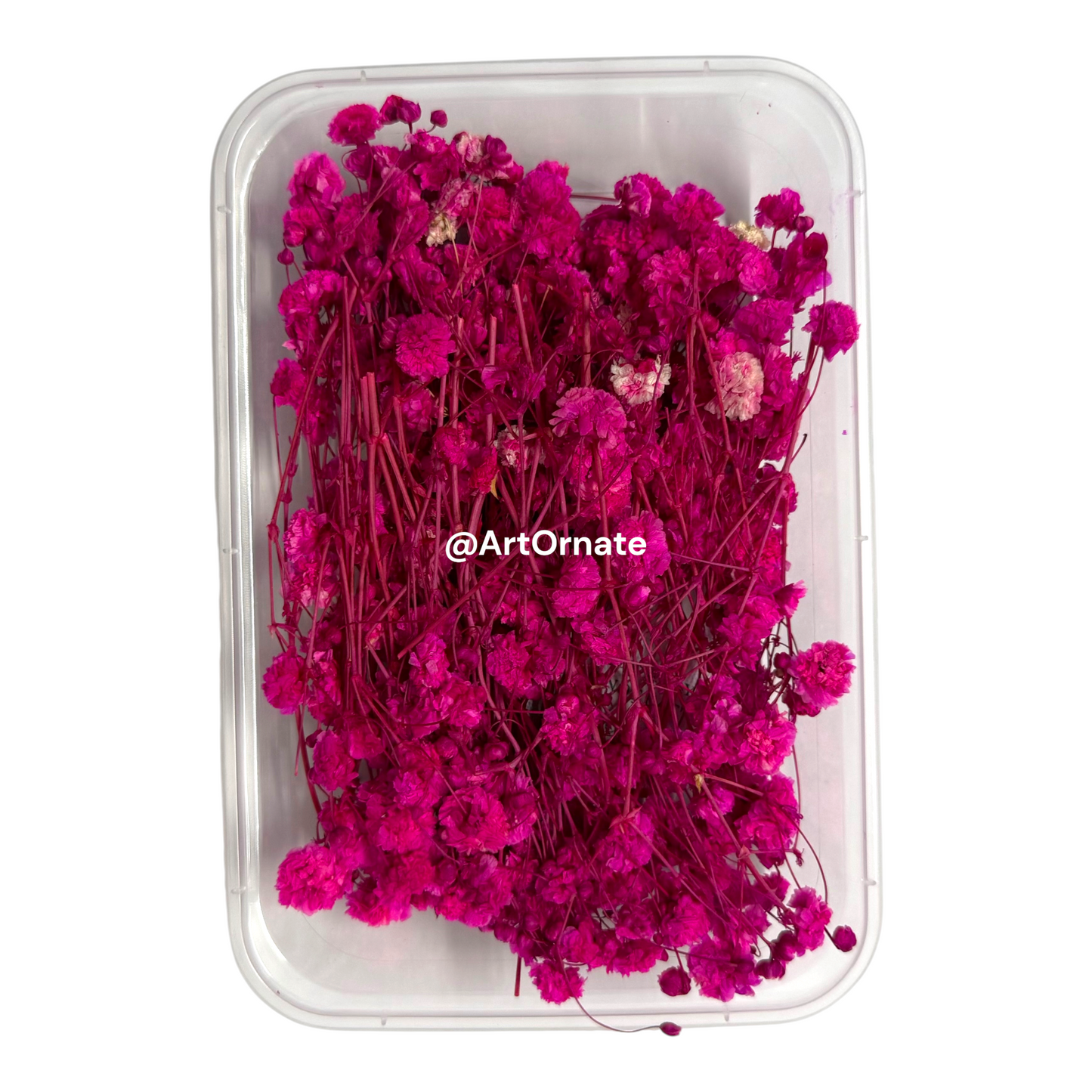 Dark Pink Gypsy / Baby Breath Dry Flower Box (ART109)