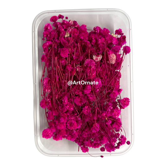 Dark Pink Gypsy / Baby Breath Dry Flower Box (ART109)
