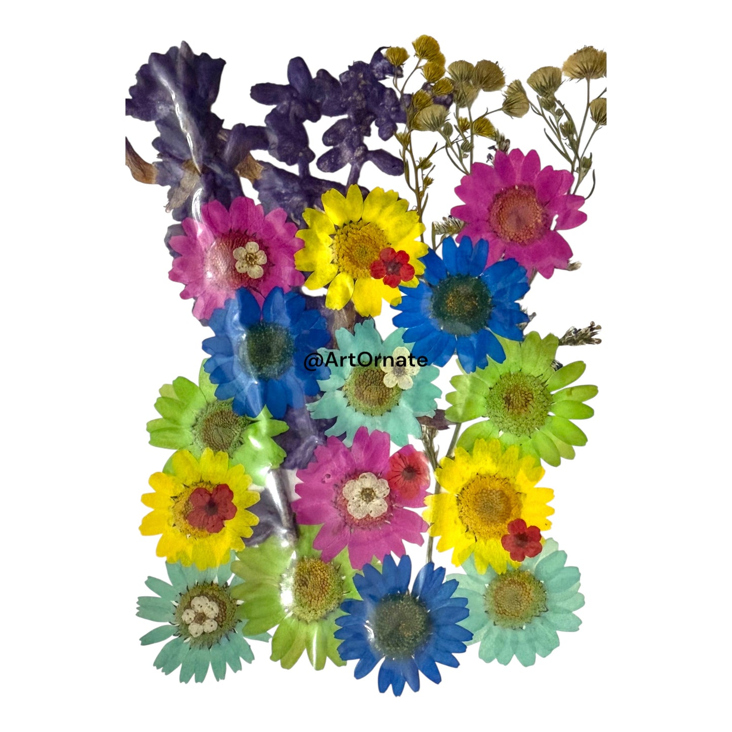 PRESSED FLOWER (FL518)