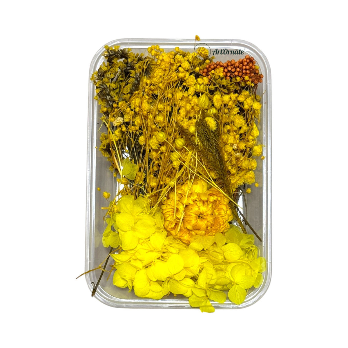 Dry Flower Box (ART27)