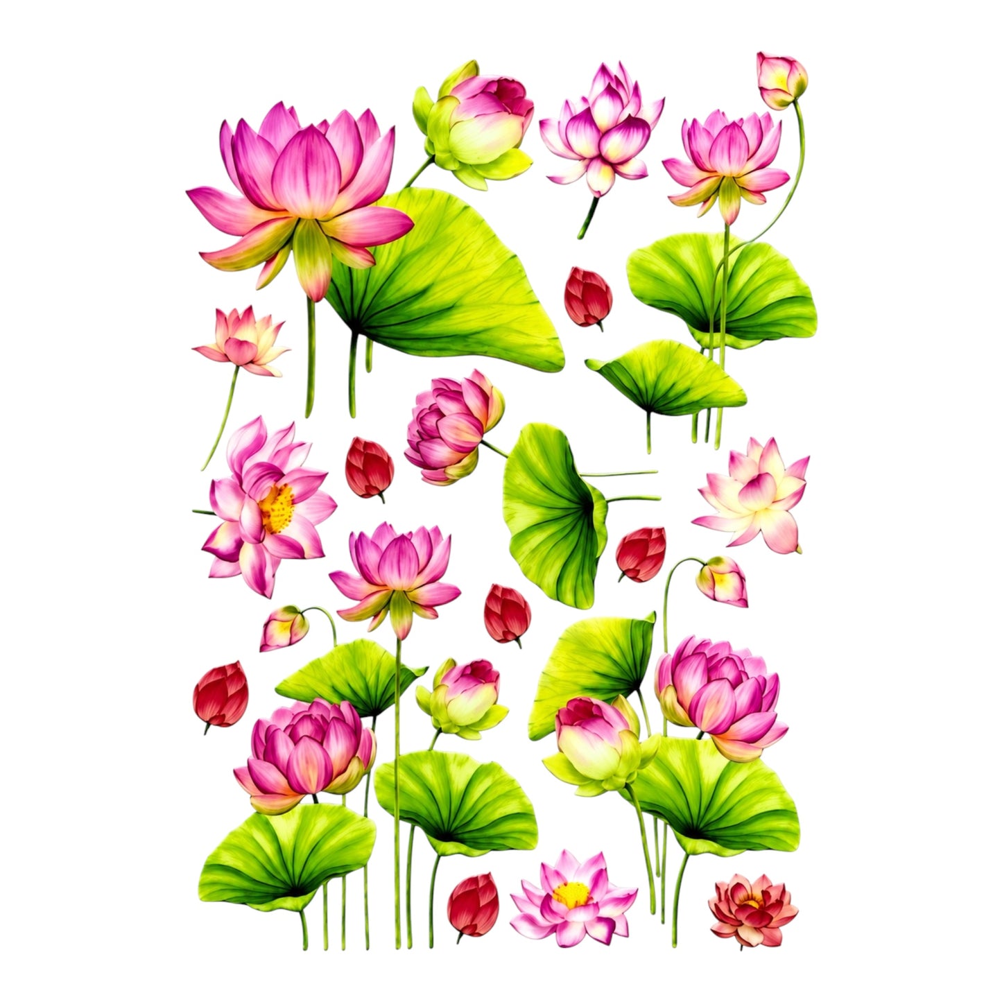Lotus UV DTF Sticker (UV026)