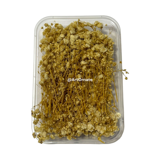 Gypsy style baby birth dry flower box made with resin keepsake frame for newborn memories in Ahmedabad India