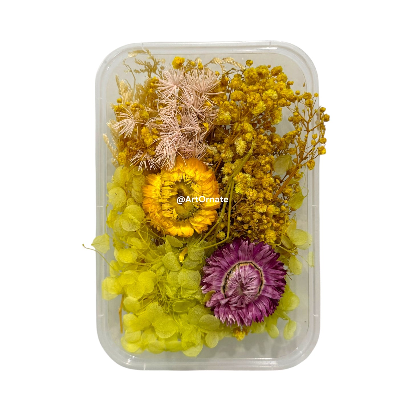 Dry Flower Box (ART05)