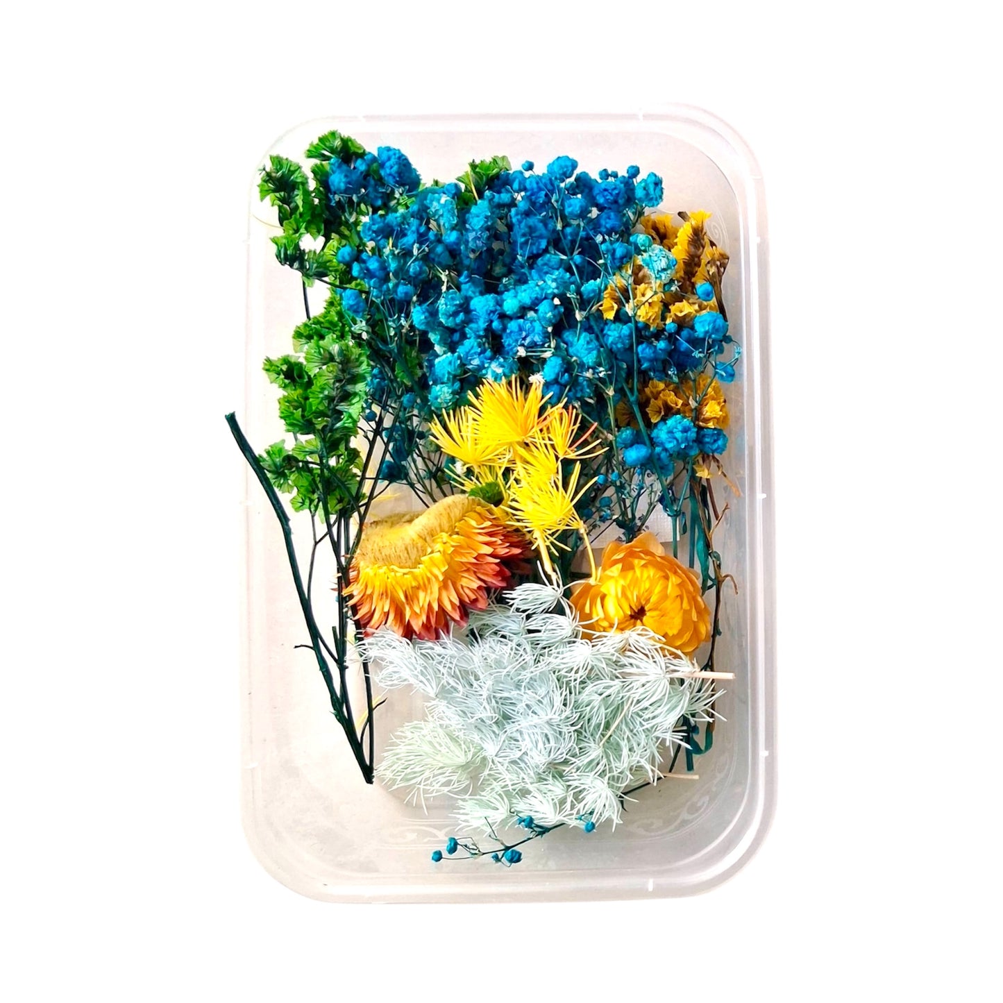 Dry Flower Box (MG20542)