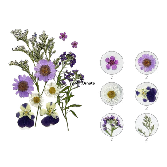 12 IN 1 PRESSED FLOWER (FL171)