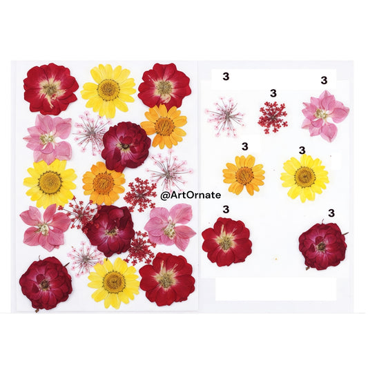 21 IN 1 PRESSED FLOWER (FL046)