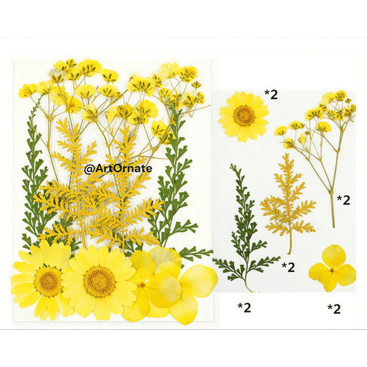 10 IN 1 PRESSED FLOWER (FL003)