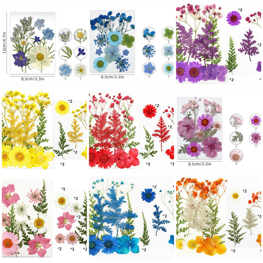 Pressed Flower (Random Design)