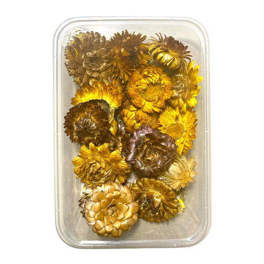 Dry Flower Box (FL8002)
