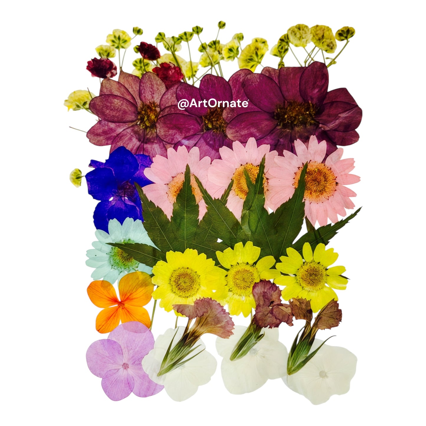 ArtOrnate pressed dry flower for epoxy resin artwork and wax candle design