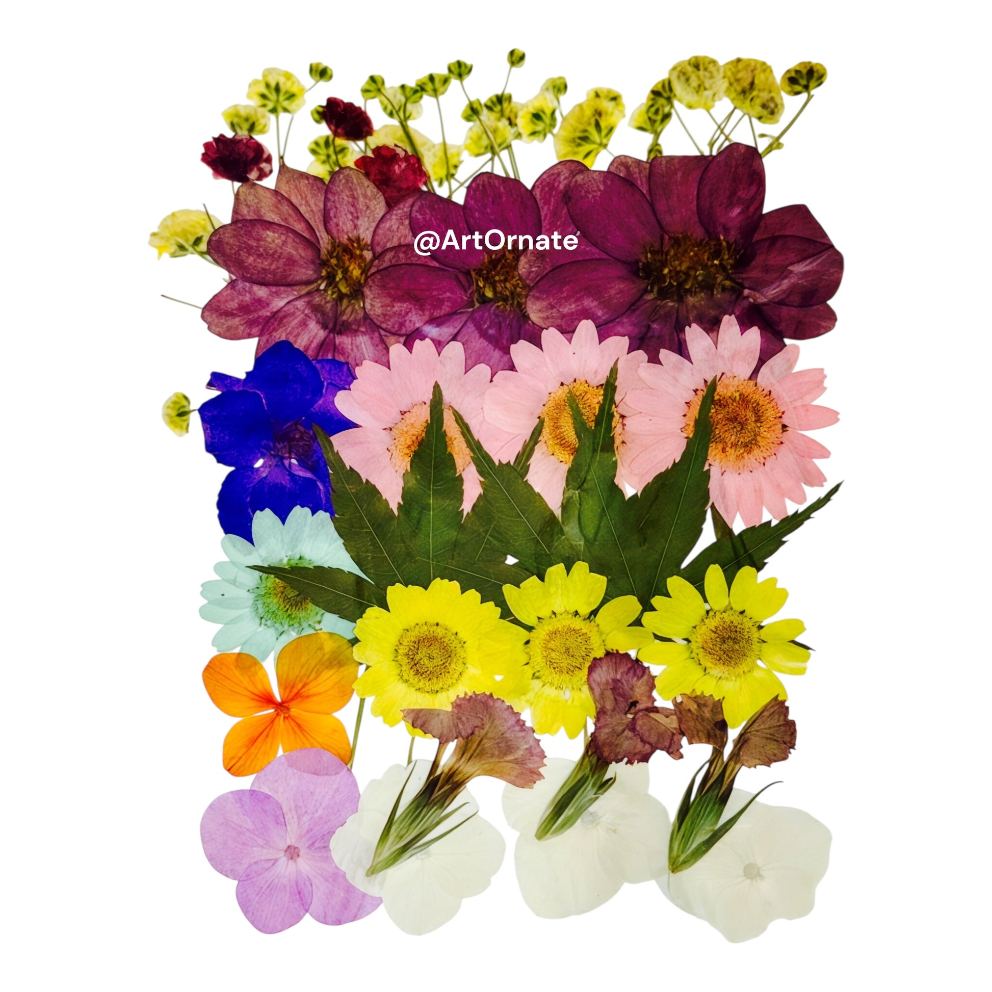 ArtOrnate pressed dry flower for epoxy resin artwork and wax candle design