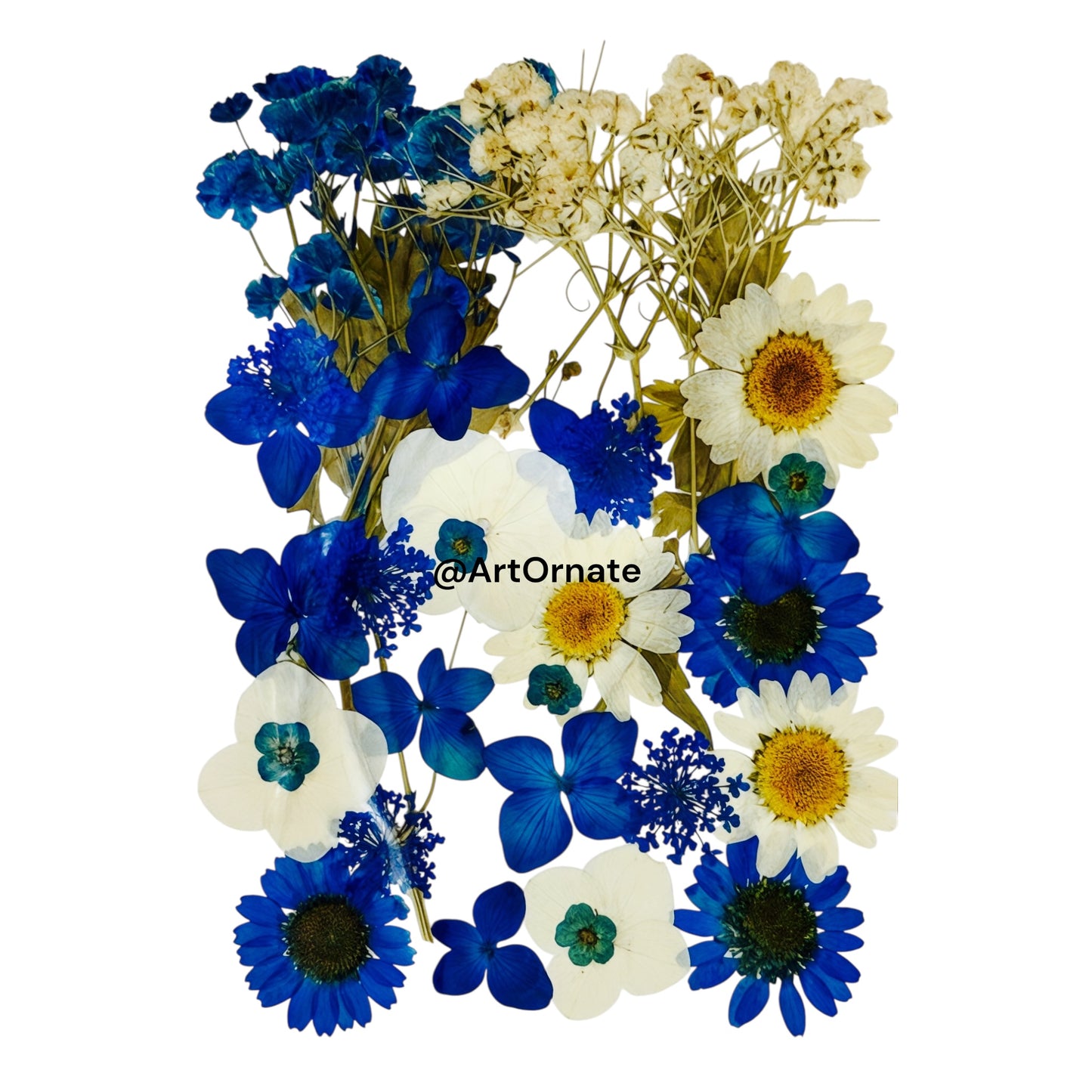 ArtOrnate natural flower set for resin artists and candle makers in India