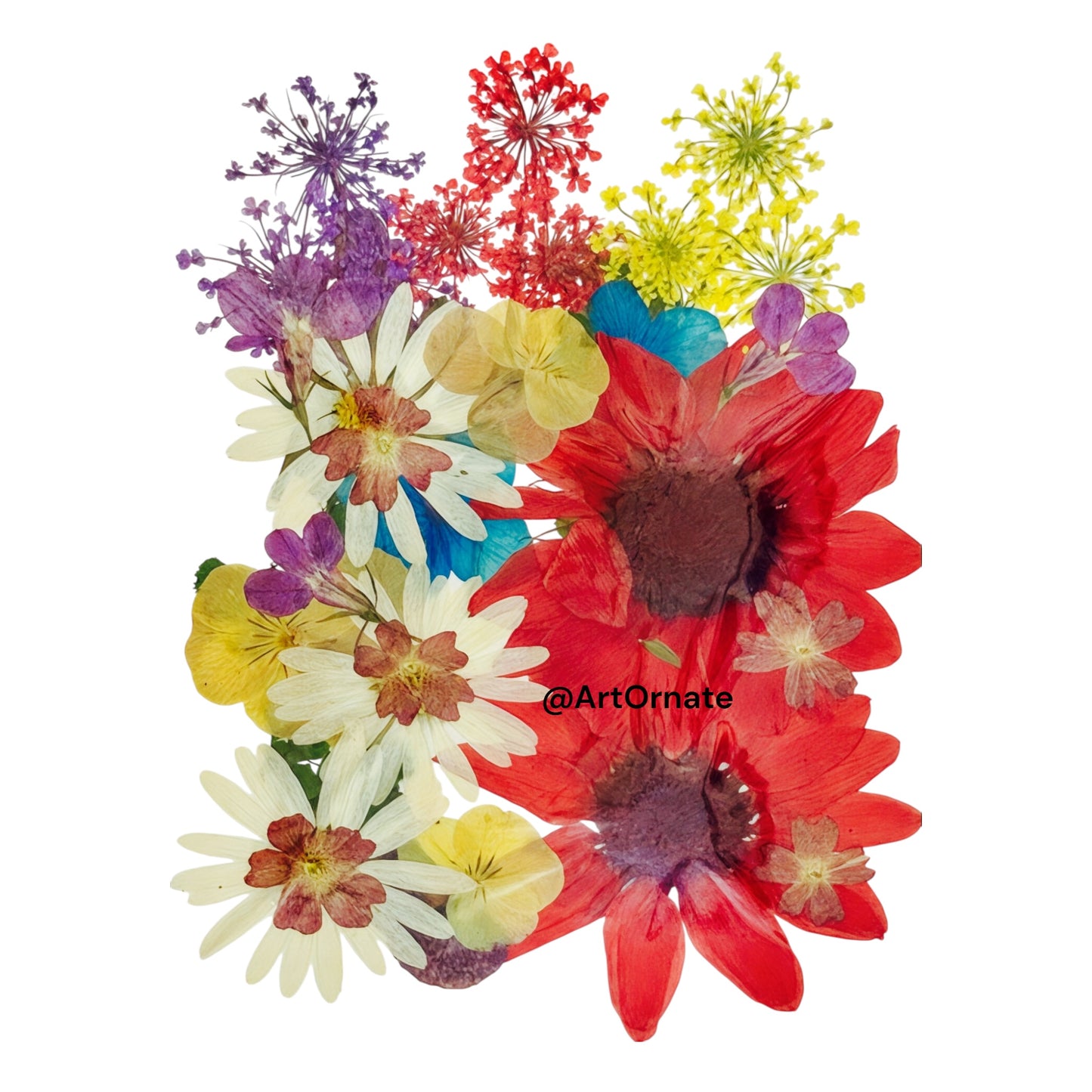 Natural pressed blossoms for epoxy resin crafts and luxury candle gifts