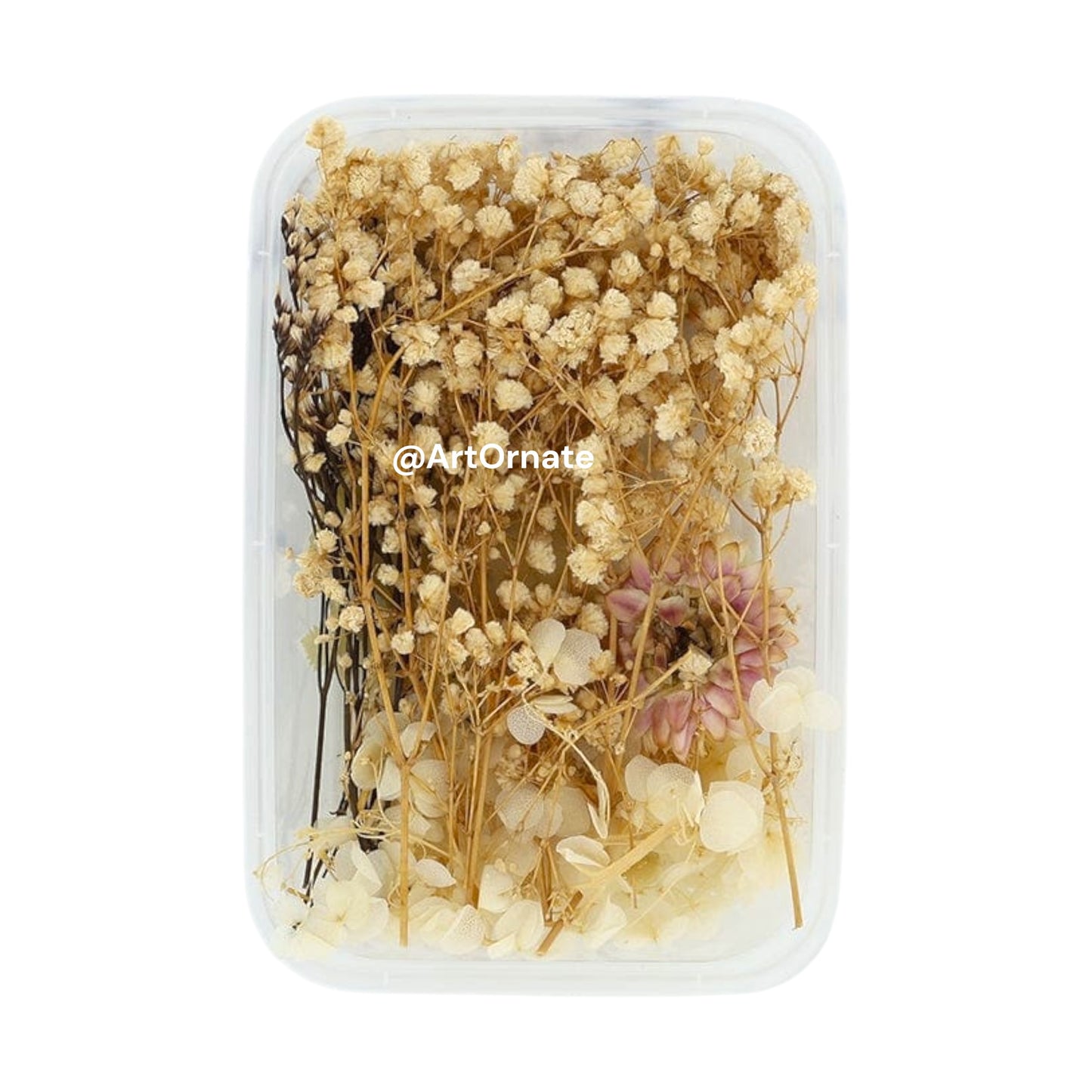 Beautiful Pressed Flowers for Resin & Candle Craft | Available at ArtOrnate India’s Resin Supply Store