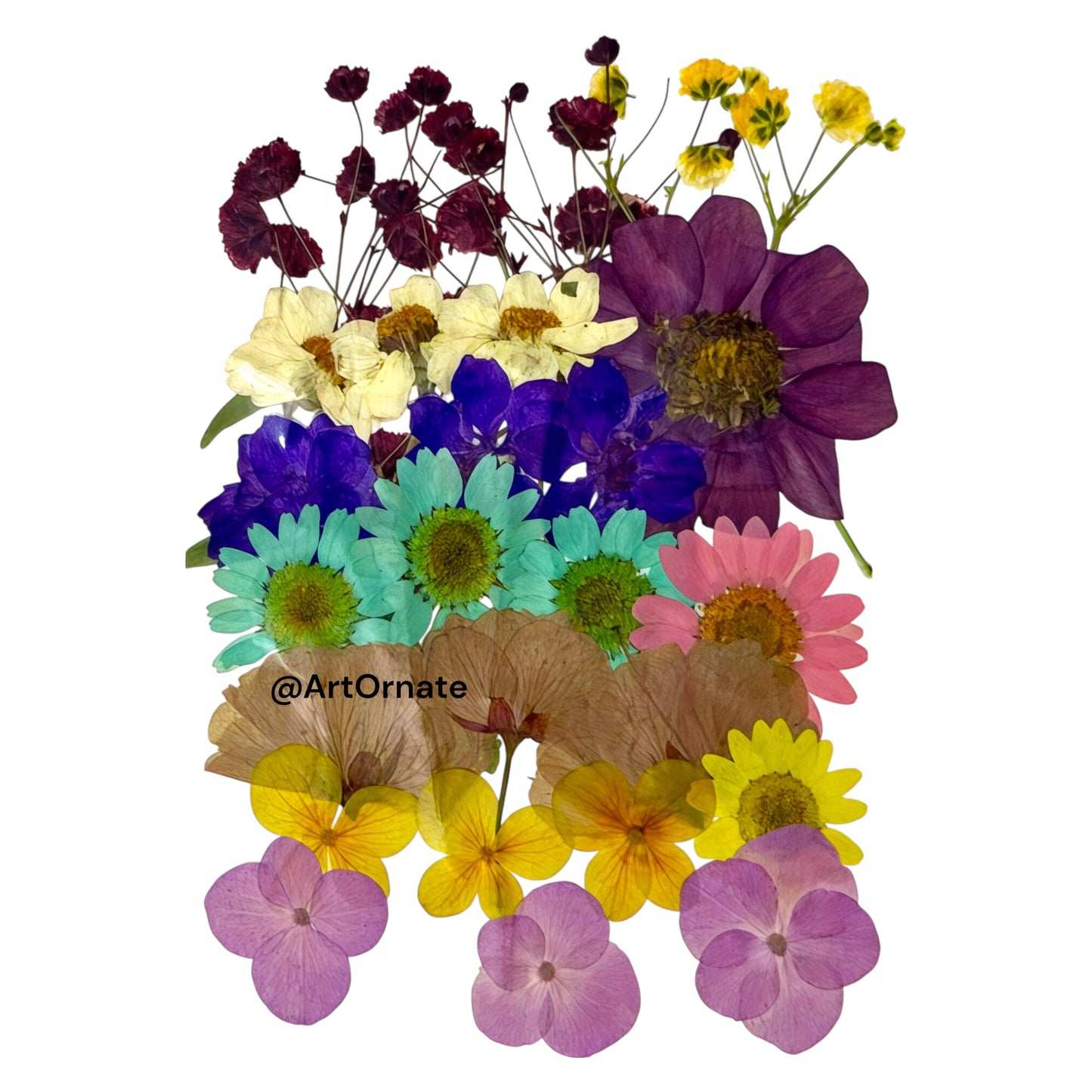 Floral decoration material for resin art and handmade candle making India