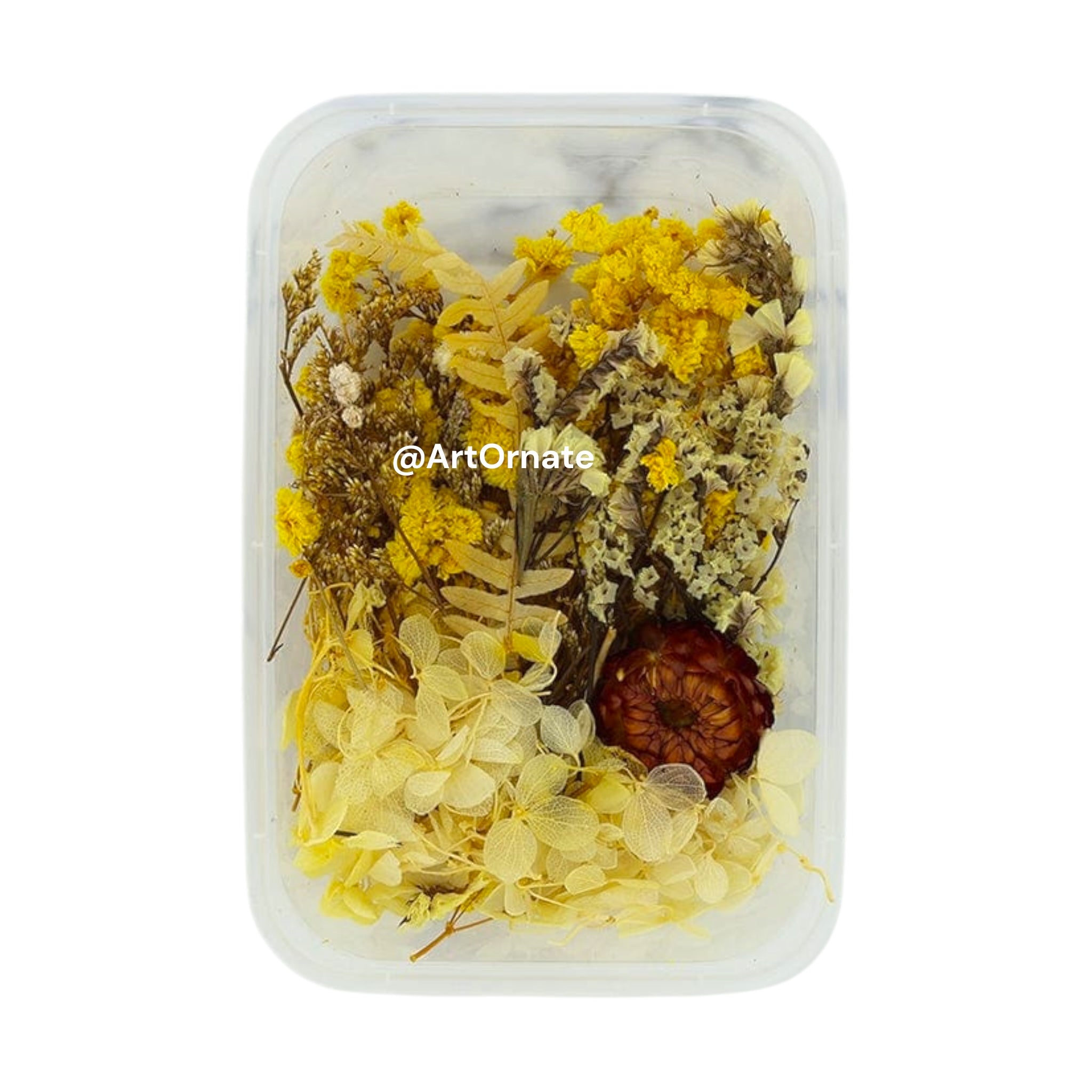 Dry Flower Box (FL7010) – ArtOrnate
