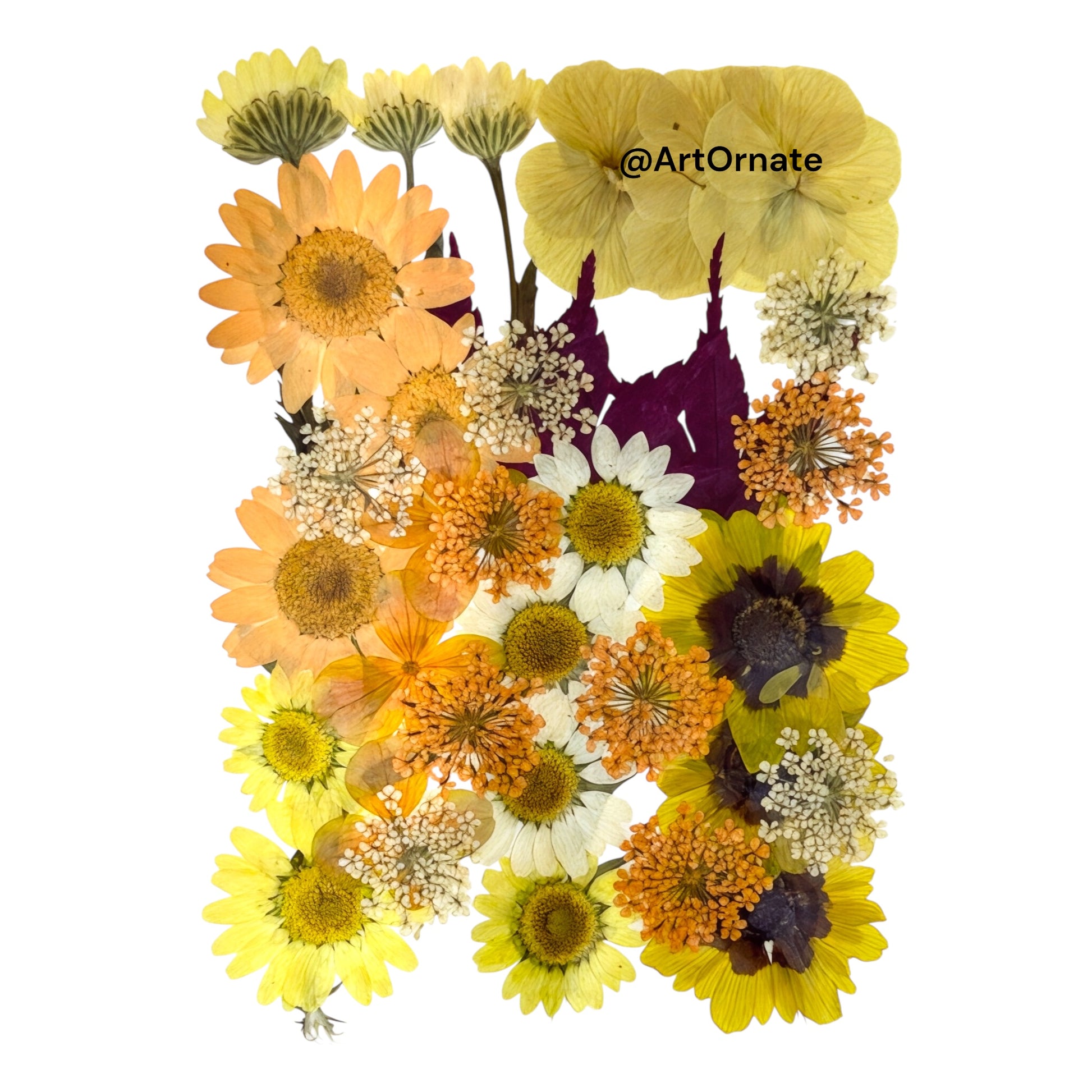 Premium quality real dried flowers for resin and candle crafts by ArtOrnate