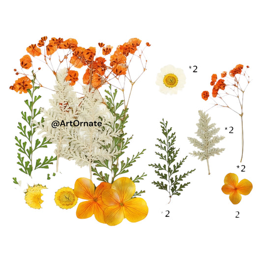 Pressed real flowers for resin and candle art available pan-India from ArtOrnate